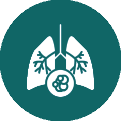 Gastrointestinal (GI) Tract