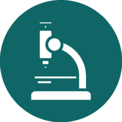 Neglected Tropical Diseases